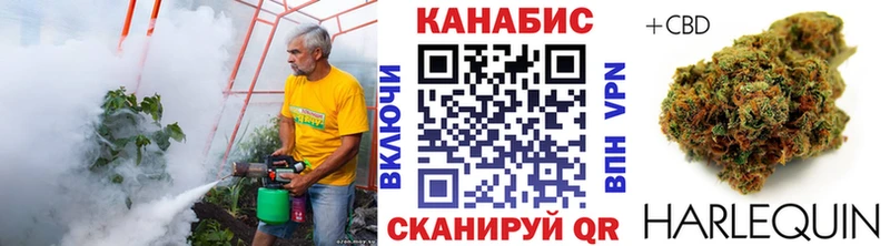 Марихуана конопля где можно купить omg сайт Беслан